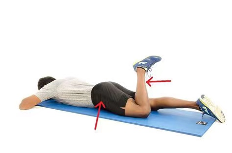 后交叉韧带重建康复训练